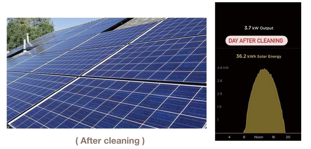 Robot nettoyeur professionnel