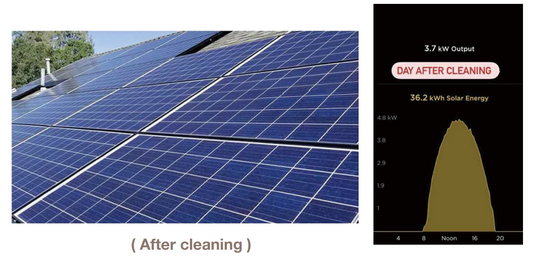 Robot nettoyeur professionnel